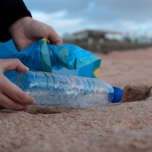 Desvelando afirmaciones de empresas top